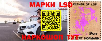 стаф Кимры