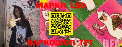 стаф Кимры
