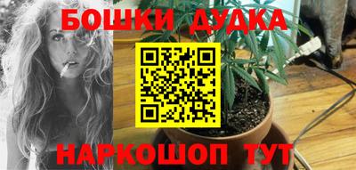стаф Кимры